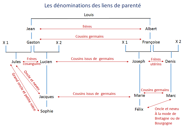 Les dénominations des dégré de parenté