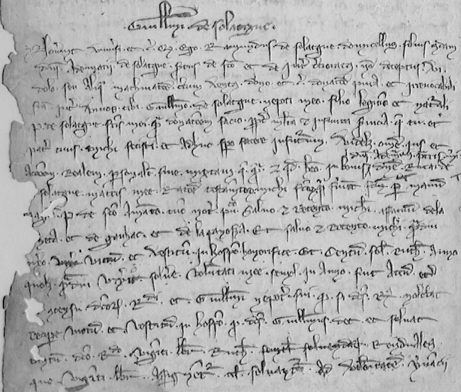 1er mai 1318 : Donation en faveur de Guilhem de Solages par son oncle Raymond de Solages, par son père Pierre de Solages, tous deux
fils d'Adhémar de Solages et par Gilhem d'Esparou.