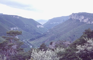 La vallée de la Dourbie vue du Pompidou