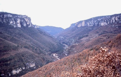 La vallée de la Dourbie