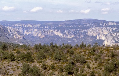 Les corniches vues depuis le Causse Méjean