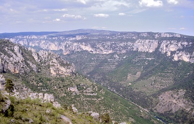 Les cormiches du Causse Méjean