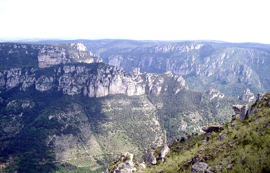 Les cormiches du Causse Méjean