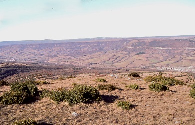 Larzac- Puech de Cougouilles