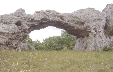 Larzac - les Rives