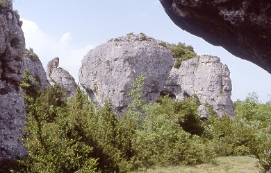 Le larzac - Le Louradou