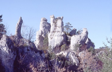 Montpellier-le-Vieux : Le Sphinx