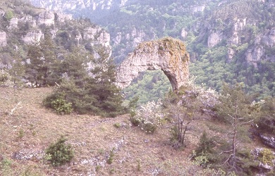 Gorges de la Jonte - Acade du Berger