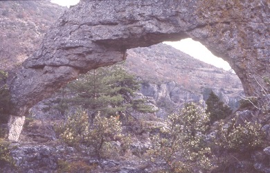 Gorges de la Jonte - Acade du Berger