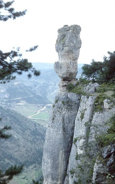 Le vase de Sèvre