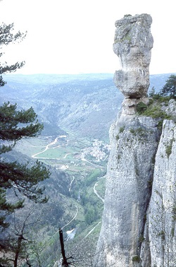 Le vase de Sèvre